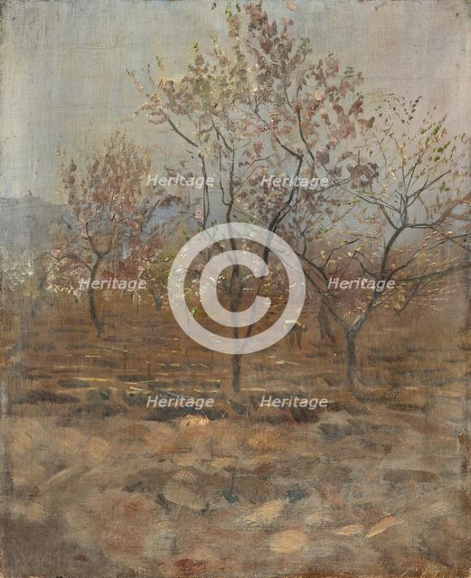 Trees in Blossom, 1890-1895. Creator: Ladislav Mednyanszky.