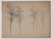 Trees in the Catskill Mountains, June 14, 1856, 1856. Creator: John William Casilear