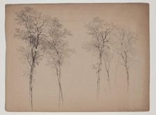 Trees in the Catskill Mountains, June 14, 1856, 1856. Creator: John William Casilear
