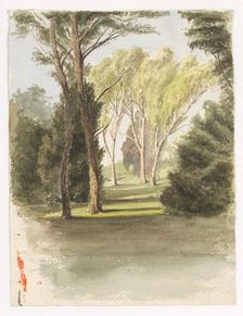Trees in the park, around 1870. Creator: Ladislav Mednyanszky