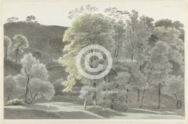 Trees in the Subiaco area, 1778-1847. Creator: Josephus Augustus Knip.