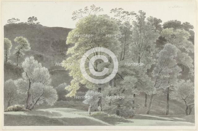 Trees in the Subiaco area, 1778-1847. Creator: Josephus Augustus Knip.