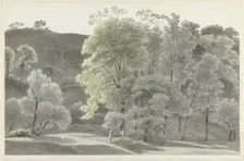 Trees in the Subiaco area, 1778-1847. Creator: Josephus Augustus Knip