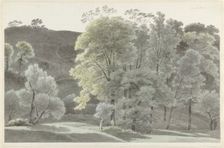 Trees in the Subiaco area, 1778-1847. Creator: Josephus Augustus Knip
