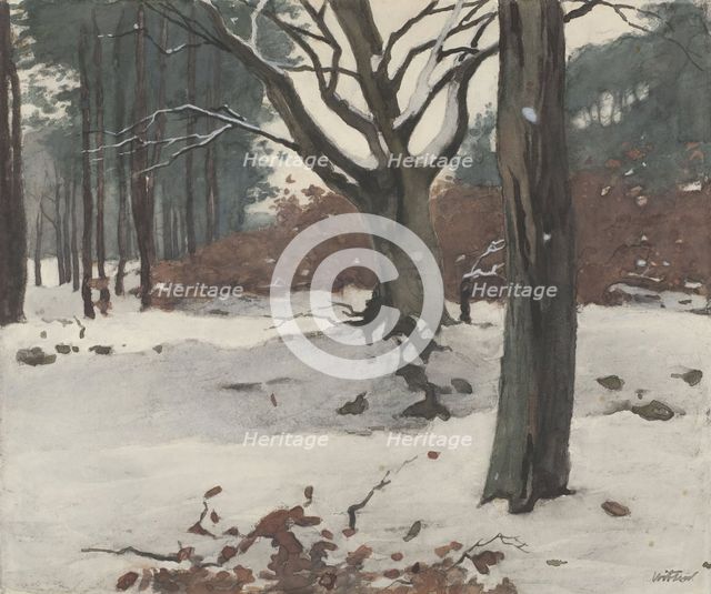 Trees in the snow, c.1870-c.1923. Creator: Willem Witsen.