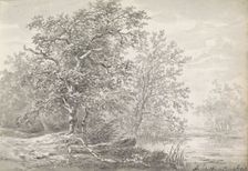 Trees on a waterfront, c.1811. Creator: Andreas Schelfhout