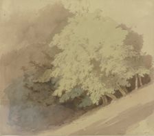 Trees on a slope near Braunfels, 1855. Creator: Carl Theodor Reiffenstein
