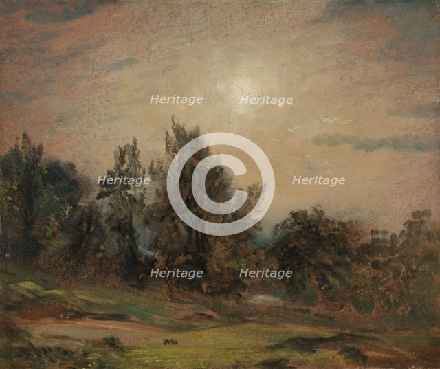Trees on Hampstead Heath, 1821. Creator: John Constable.