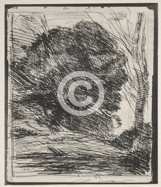 Trees on the Mountain, original impression 1856, printed in 1921. Creator: Jean Baptiste Camille Corot (French, 1796-1875).