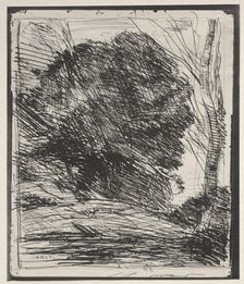 Trees on the Mountain, original impression 1856, printed in 1921. Creator: Jean Baptiste Camille Corot (French, 1796-1875)