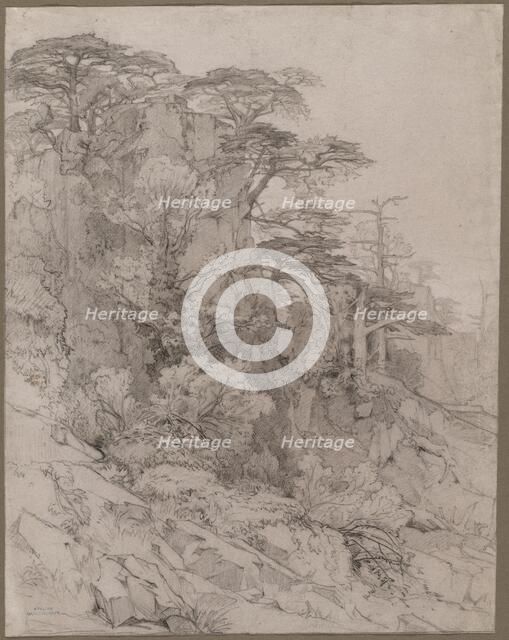 Trees of a Rocky Hillside, late 1800s. Creator: Gustave Achille Guillaumet (French, 1840-1887).