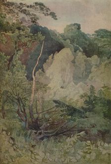 Trees Near The Greta River 1923. Artist: John Sell Cotman