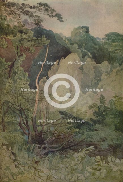 'Trees Near The Greta River', 1923. Artist: John Sell Cotman.