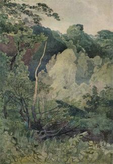 Trees near the Greta River c19th century. Artist: John Sell Cotman