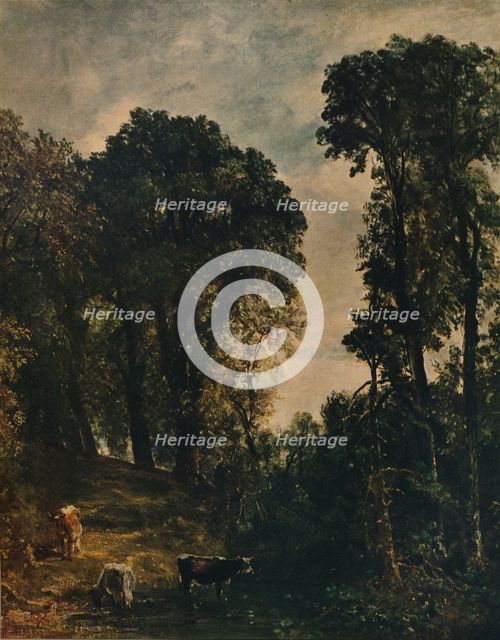 'Trees Near Hampstead Church', 1829, (c1915). Artist: John Constable.