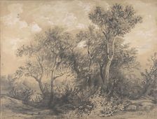 Trees (recto); Soldiers in a Wood (verso), early to mid-19th century. Creator: Alexandre Calame