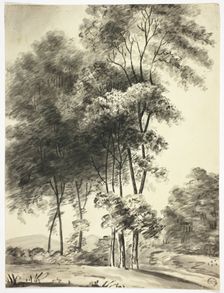 Trees with Mountains in Distance, n.d. Creator: Unknown