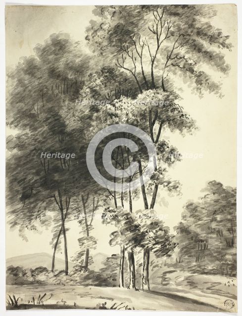 Trees with Mountains in Distance, n.d. Creator: Unknown.