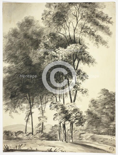 Trees with Mountains in Distance, n.d. Creator: Unknown.