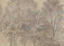 Treetops [verso]. Creator: Jean-Antoine Watteau