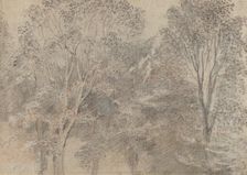 Treetops [verso]. Creator: Jean-Antoine Watteau