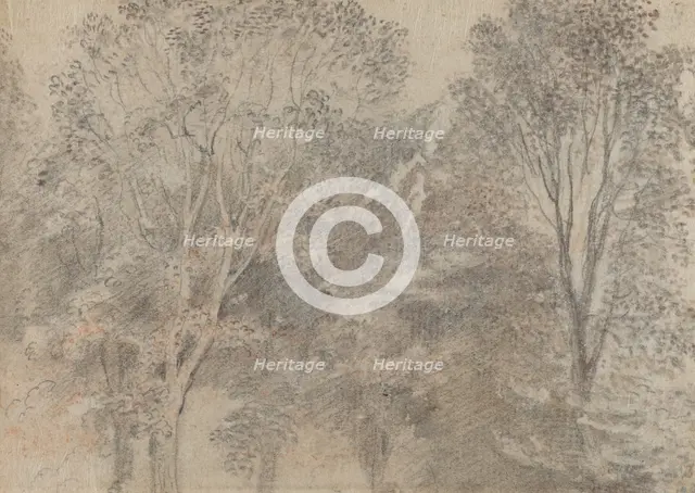 Treetops [verso]. Creator: Jean-Antoine Watteau.