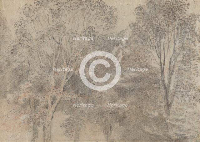 Treetops [verso]. Creator: Jean-Antoine Watteau.