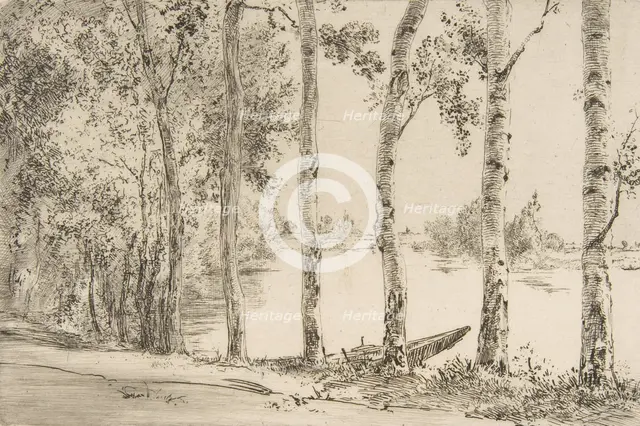 Trembles au bord de la Seine, ca. 1884. Creator: Felix Bracquemond.