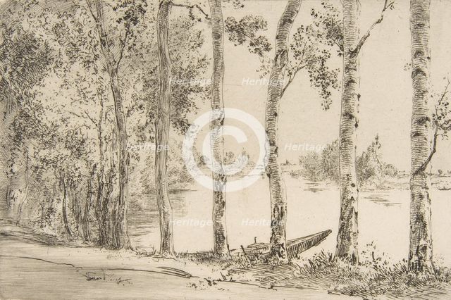 Trembles au bord de la Seine, ca. 1884. Creator: Felix Bracquemond.