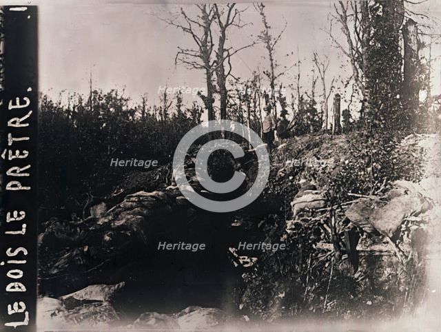 Trenches, Bois-le-Prêtre, Lorraine, northern France, c1914-c1918. Artist: Unknown.