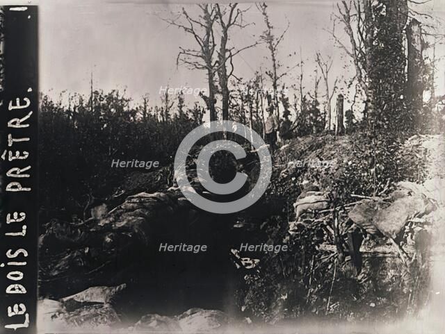 Trenches, Bois-le-Prêtre, Lorraine, northern France, c1914-c1918. Artist: Unknown.