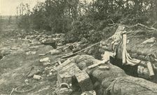 Trenches, First World War, June 1916, (c1920). Creator: Unknown