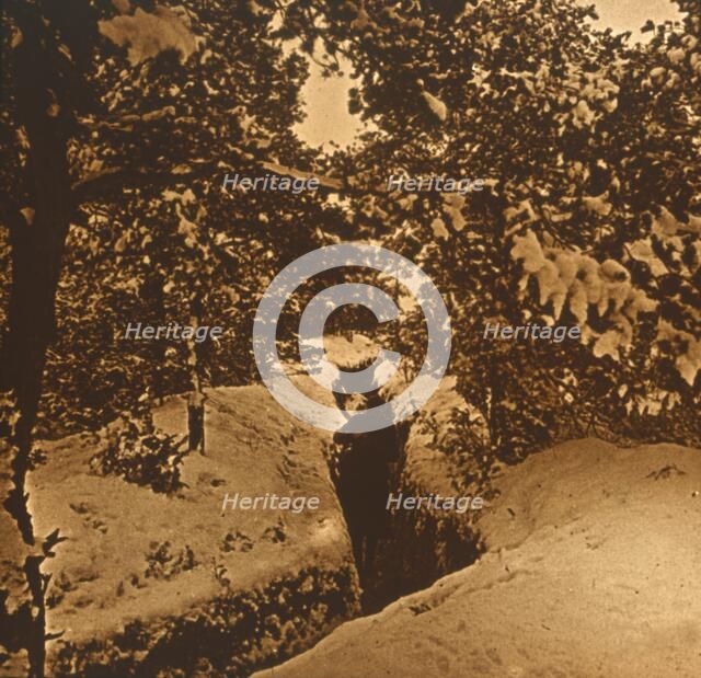 Trenches under fir trees, c1914-c1918. Artist: Unknown.