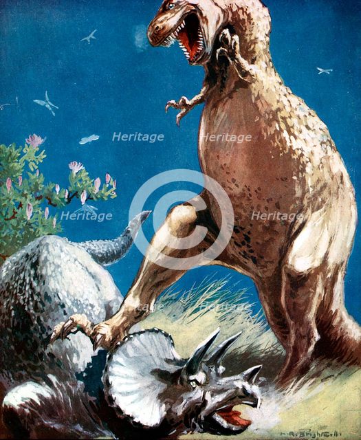 Triceratops, a horned dinosaur, held down by a Tyrannosaur, c1920. Creator: Unknown.