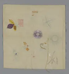 Trial Sheet, Illinois, 19th century. Creator: Unknown