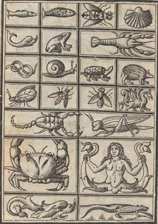 Trionfo Di Virtu. Libro Novo..., page 23 (verso), 1563. Creator: Matteo Pagano