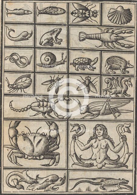 Trionfo Di Virtu. Libro Novo..., page 23 (verso), 1563. Creator: Matteo Pagano.