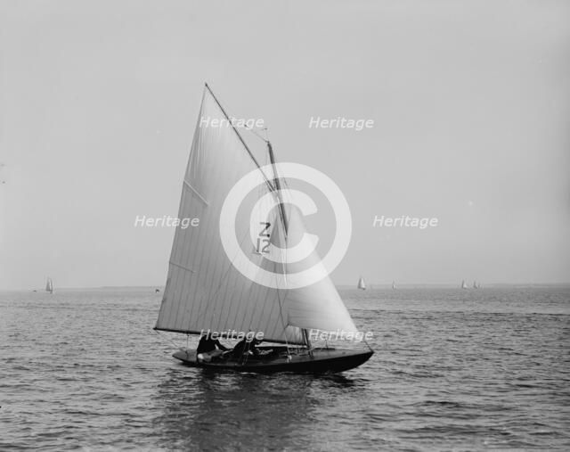 Trilby, 1896 June 30. Creator: Lycurgus S. Glover.