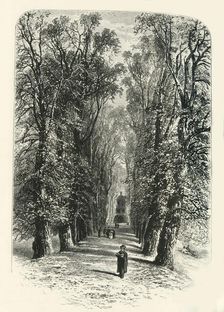 Trinity College Avenue, Cambridge c1870