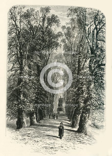 'Trinity College Avenue, Cambridge', c1870.