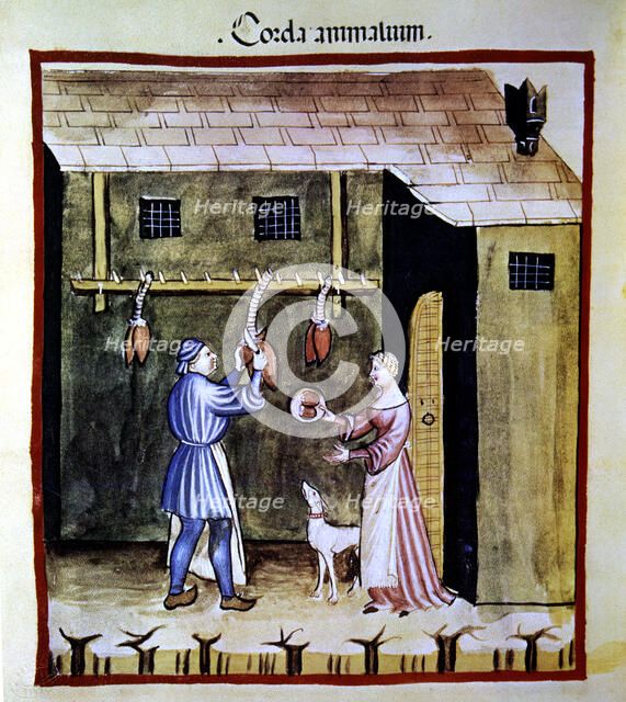 Tripe and offal shop, selling animal hearts. Miniature in the 'Tacuinum sanitatis', illuminated m…