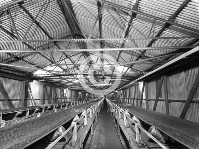 Triple conveyors at Manvers Main coal preparation plant, Wath upon Dearne, South Yorkshire, 1956. Artist: Michael Walters