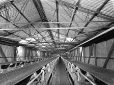 Triple conveyors at Manvers Main coal preparation plant, Wath upon Dearne, South Yorkshire, 1956. Creator: Michael Walters