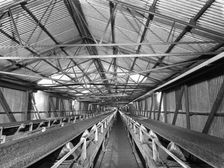 Triple conveyors at Manvers Main coal preparation plant, Wath upon Dearne, South Yorkshire, 1956. Artist: Michael Walters