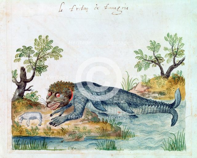 Triton, 16th century. Artist: Unknown