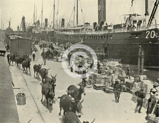Troopships at Port Tampa, Florida, USA, Spanish-American War, 10 June 1898, (1899).  Creator: Burr McIntosh.