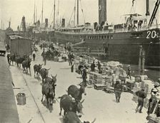 Troopships at Port Tampa, Florida, USA, Spanish-American War, 10 June 1898, (1899). Creator: Burr McIntosh