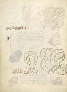 Trompe l'Oeil Stem of a Sweet Cherry, 1561-1562; illumination added 1591-1596. Creator: Joris Hoefnagel