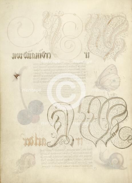 Trompe l'Oeil Stem of a Sweet Cherry, 1561-1562; illumination added 1591-1596. Creator: Joris Hoefnagel.