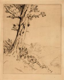 Tronc D'arbre, c1879. Creator: Alphonse Legros